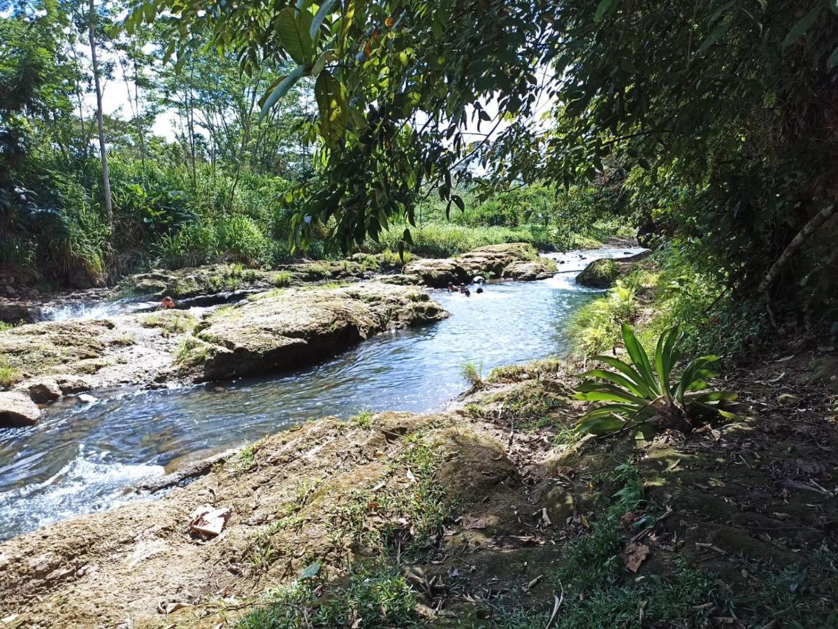 Villa Ceiba La Fortuna ภายนอก รูปภาพ