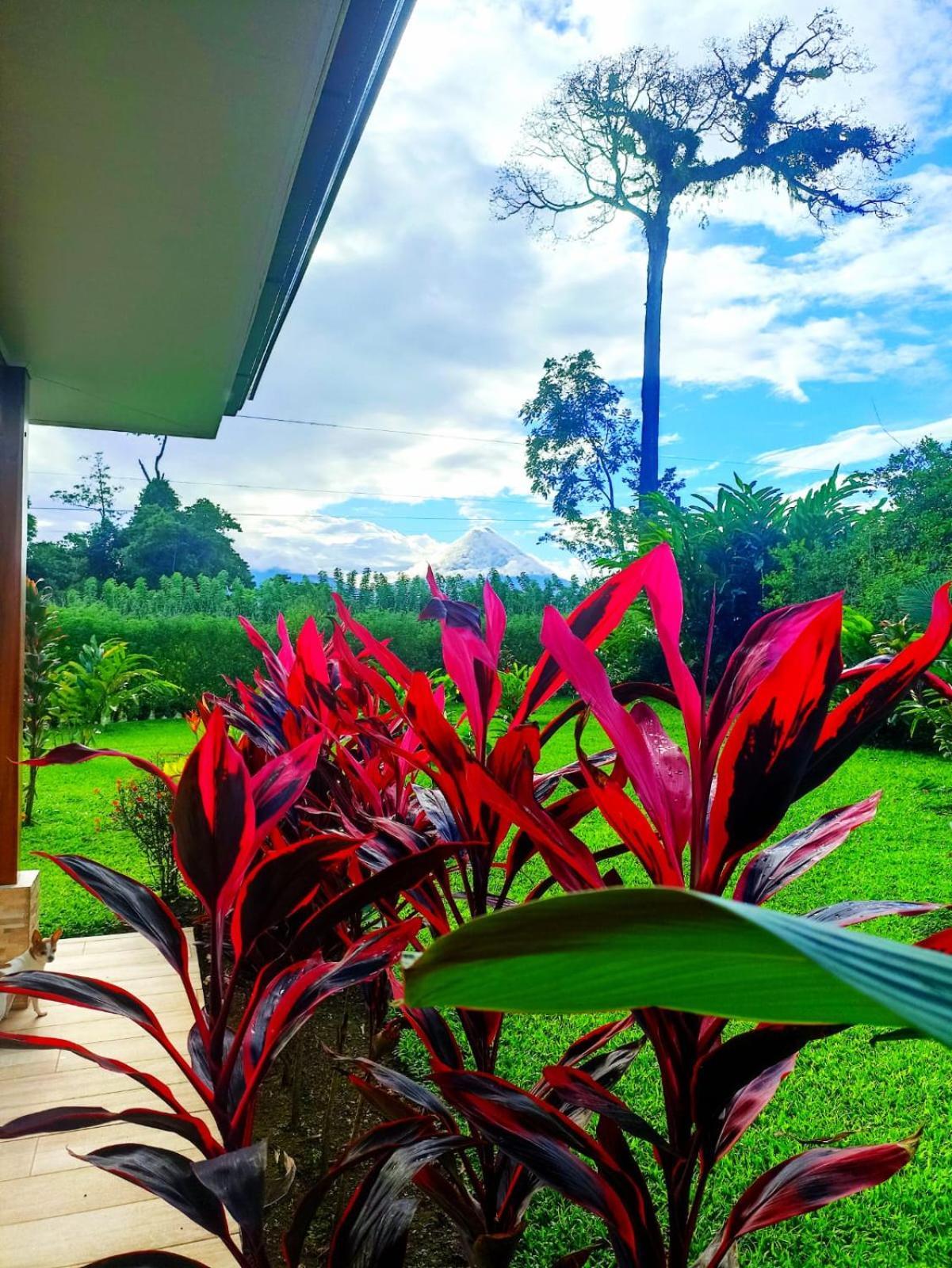 Villa Ceiba La Fortuna ภายนอก รูปภาพ
