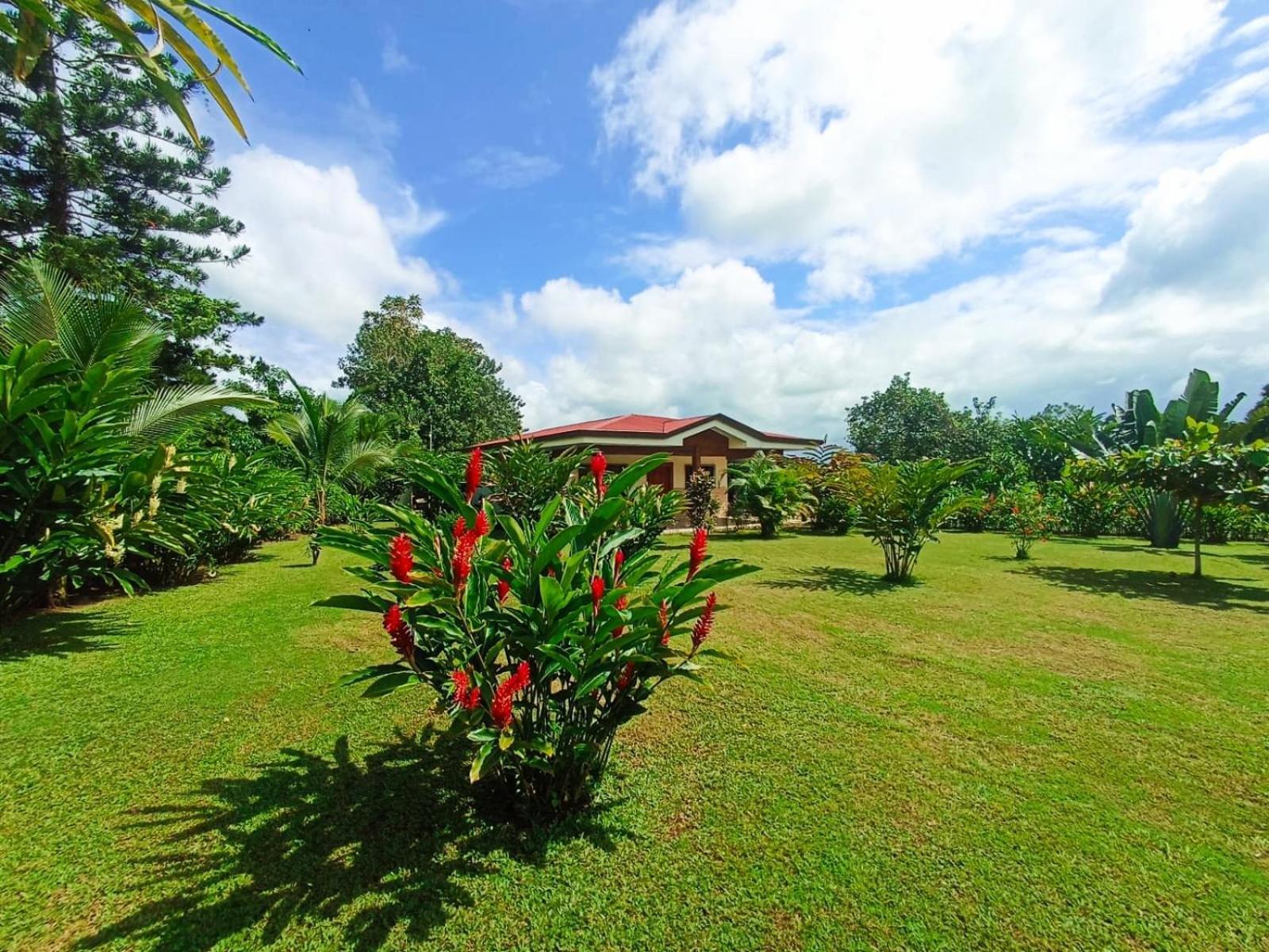 Villa Ceiba La Fortuna ภายนอก รูปภาพ