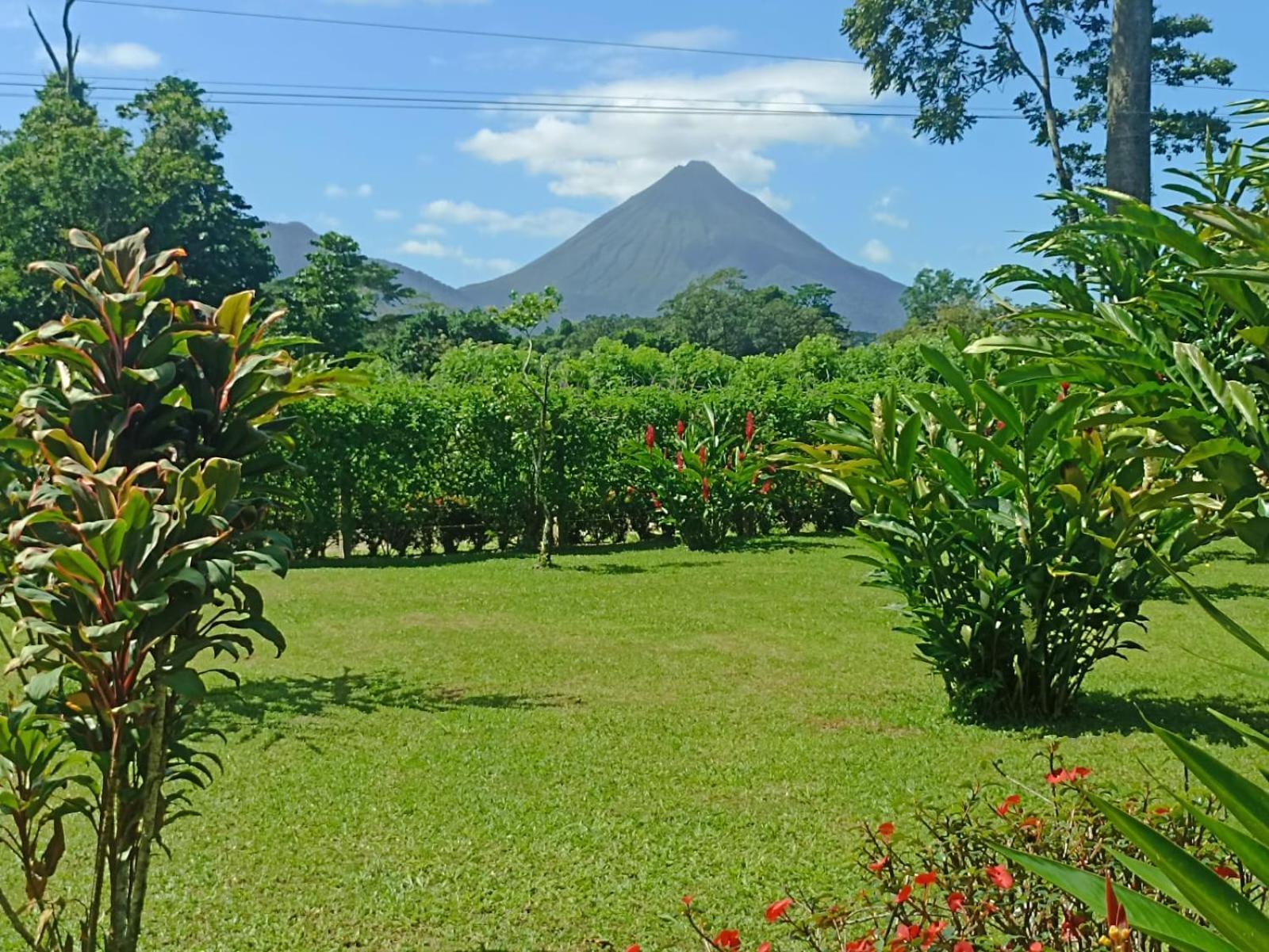 Villa Ceiba La Fortuna ภายนอก รูปภาพ